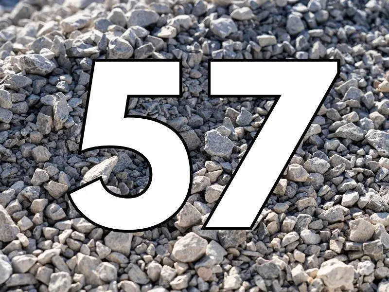 Đề về 57 hôm sau đánh con gì?